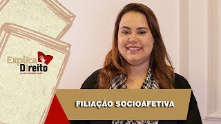 Explica Direito Filiação Socioafetiva  2019 [upl. by Oremor]