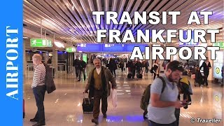 TRANSIT WALK AT FRANKFURT Airport FRA Terminal 1  Connection Flight Transfer Arriving amp Departing [upl. by Asehr]